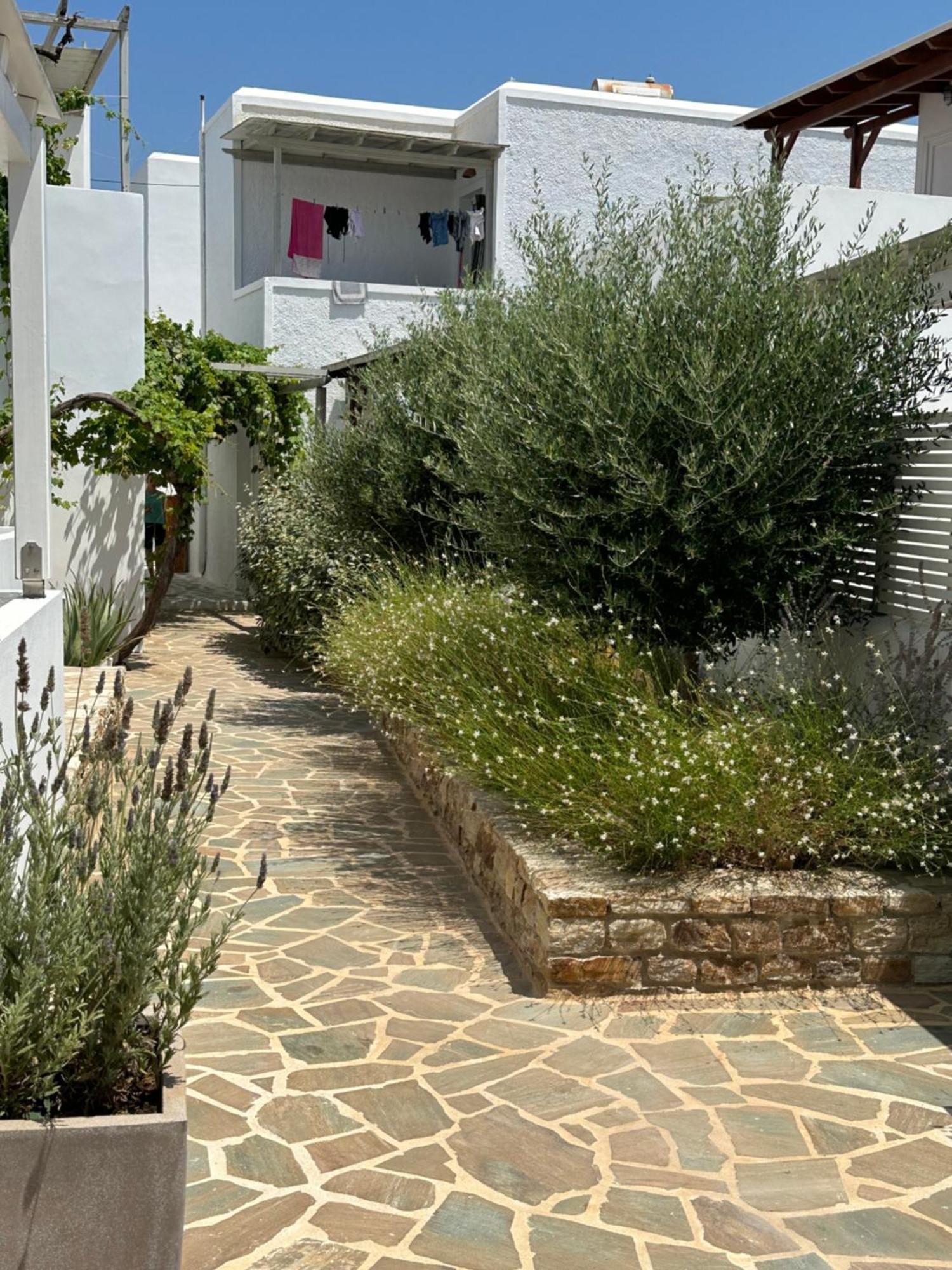 Levanda Guest Houses Andiparos Bagian luar foto